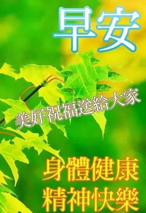 祝朋友天天开心的句子（祝福对方心情好的美句）