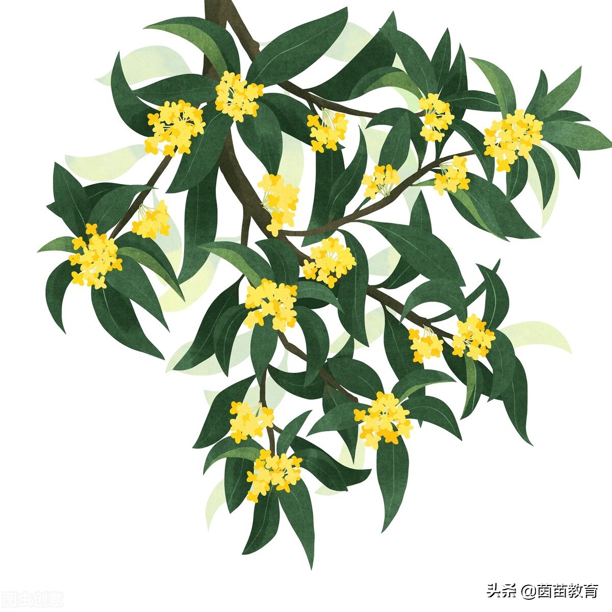 有关节日的古诗有哪些（传统节日对应的古诗）