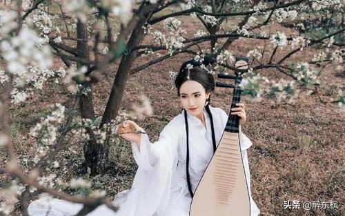 诗经形容女子美好的诗句（值得摘抄的诗经名句）