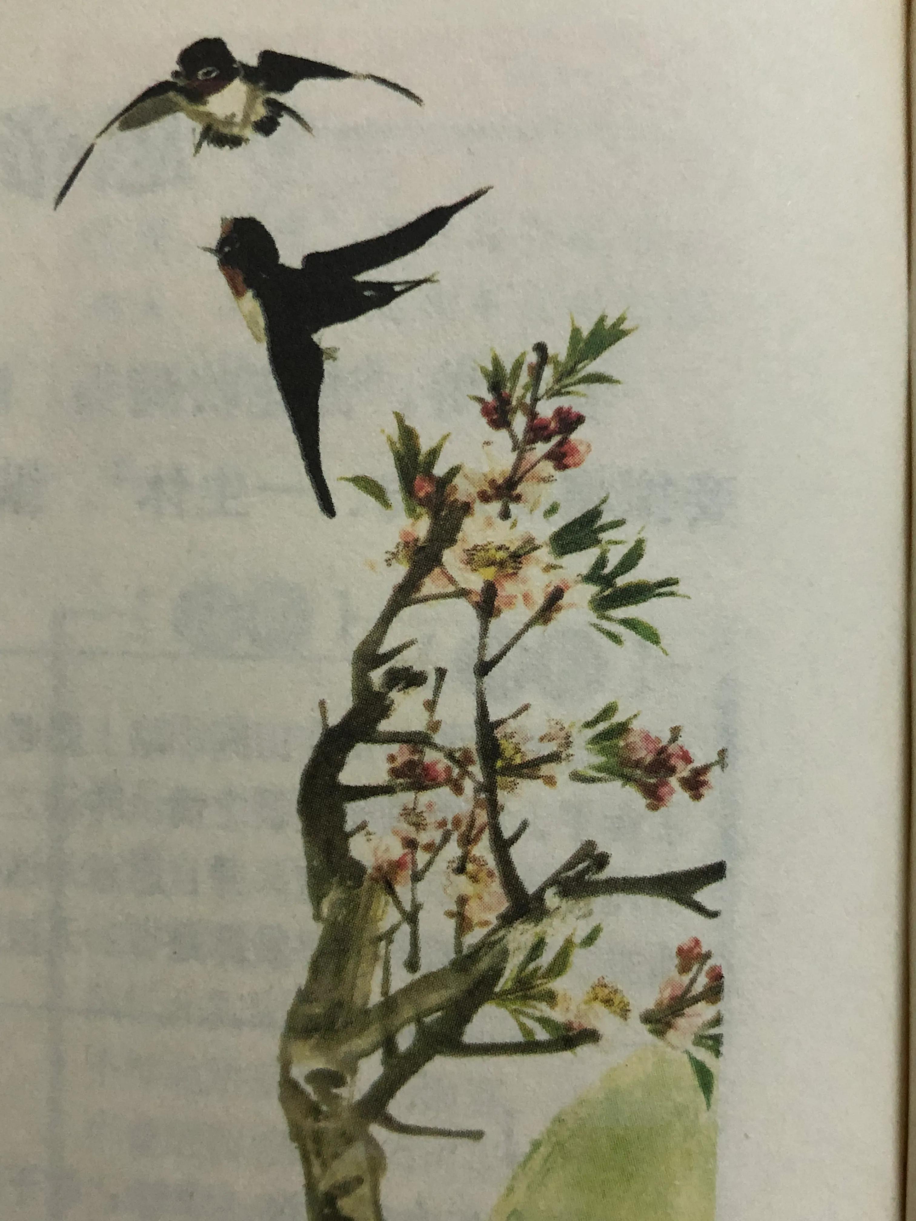 东城渐觉风光好原文（东城渐觉风光好逐句赏析 ）