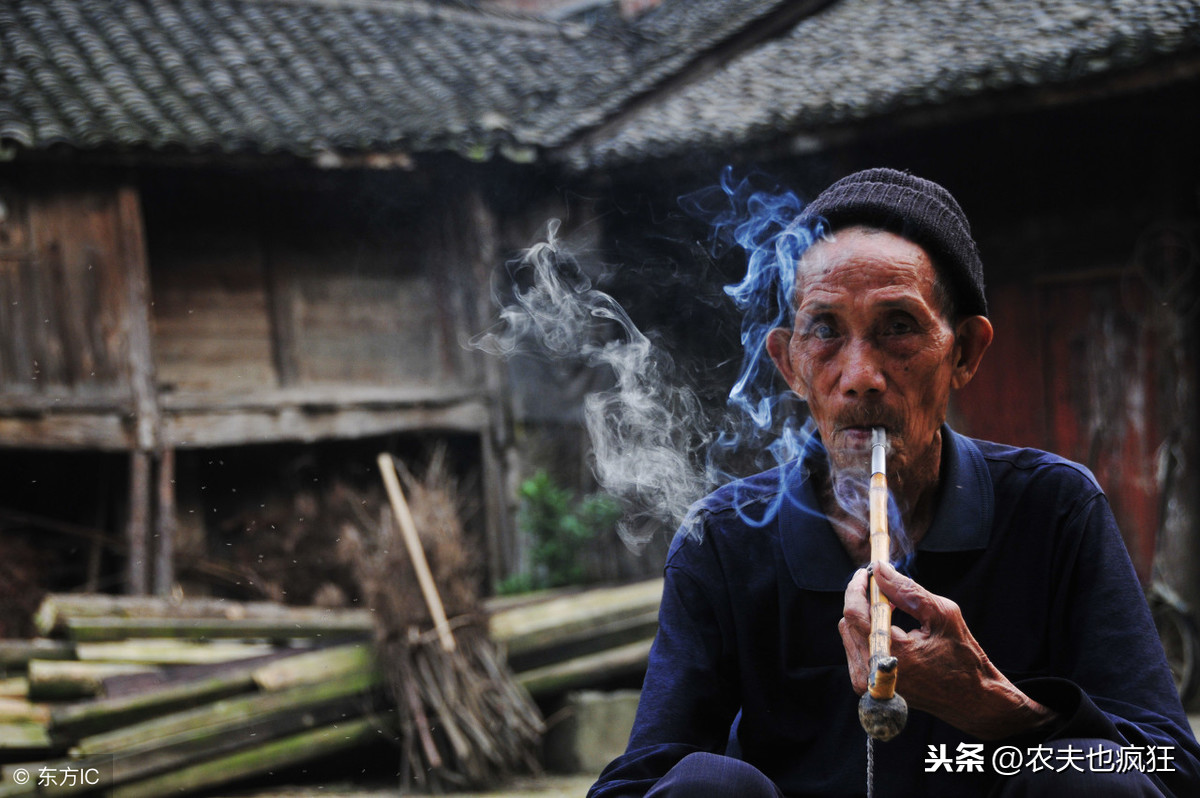 形容农村接地气的句子（农村10句经典俗语）