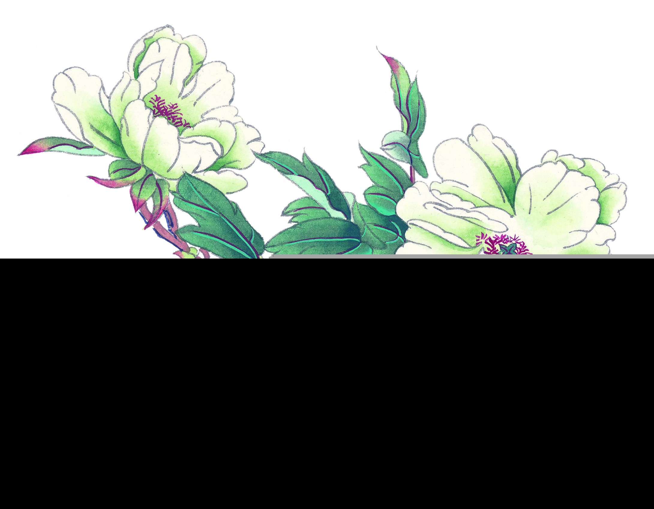 牡丹花诗句形容美人（形容牡丹的高贵诗句）
