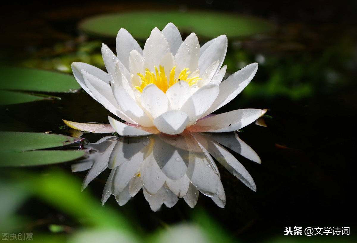 池上古诗的意思翻译（池上赏析注释以及译文）