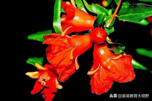 送给女儿成长的话经典（鼓励女儿优秀成长的话）