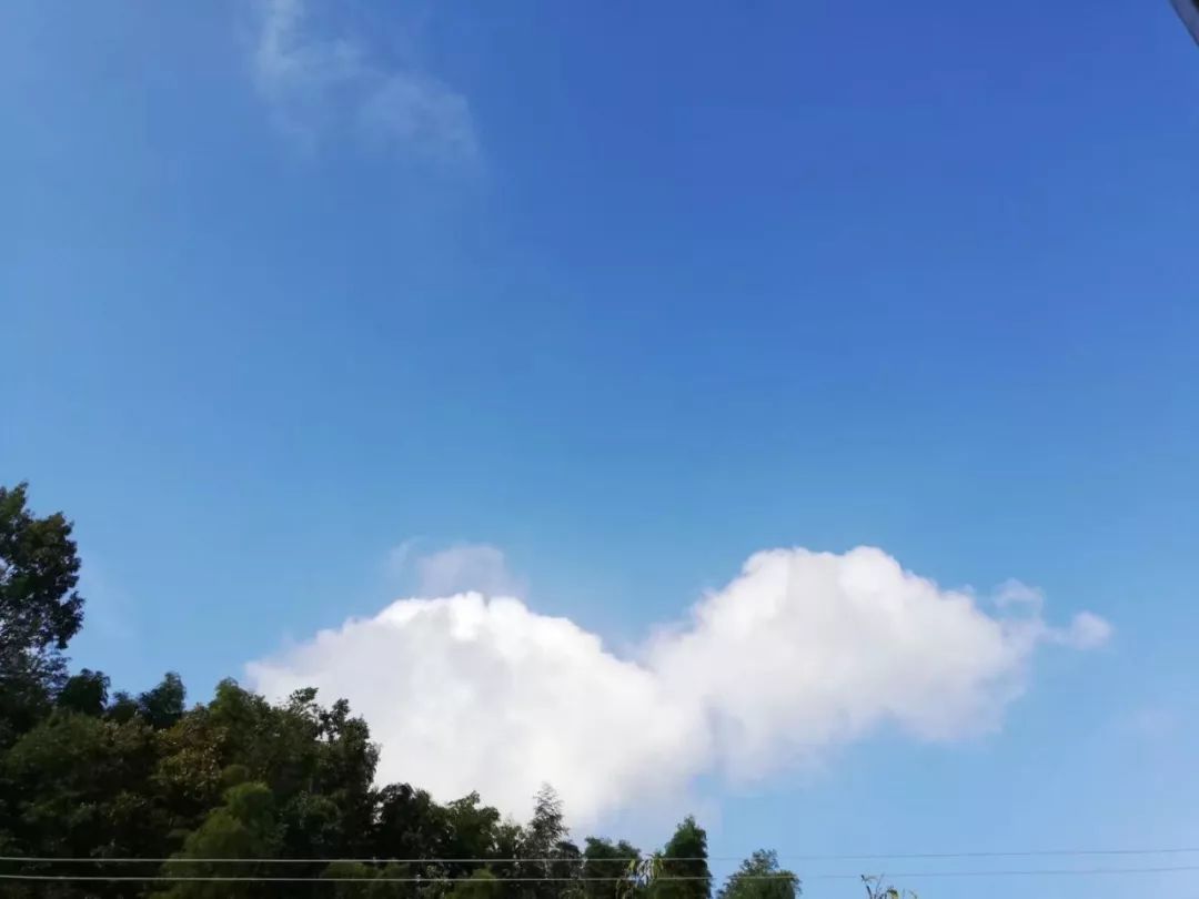 适合摘抄的现代诗（现代诗歌摘抄大全）