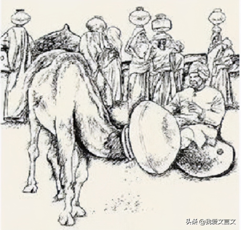 杀驼破瓮的文言文翻译（杀驼破瓮最好的办法）