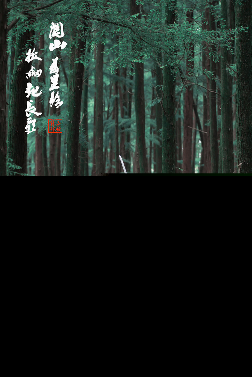 带剑的诗句有哪些（关于剑的诗句潇洒）