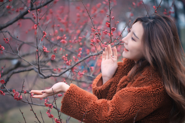 写梅花的诗有哪些诗（赞美梅花的七言诗）