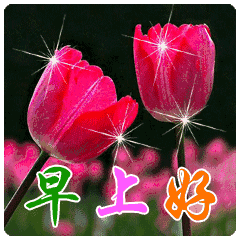 祝福身体健康的话（祝自己身体健康的短句）
