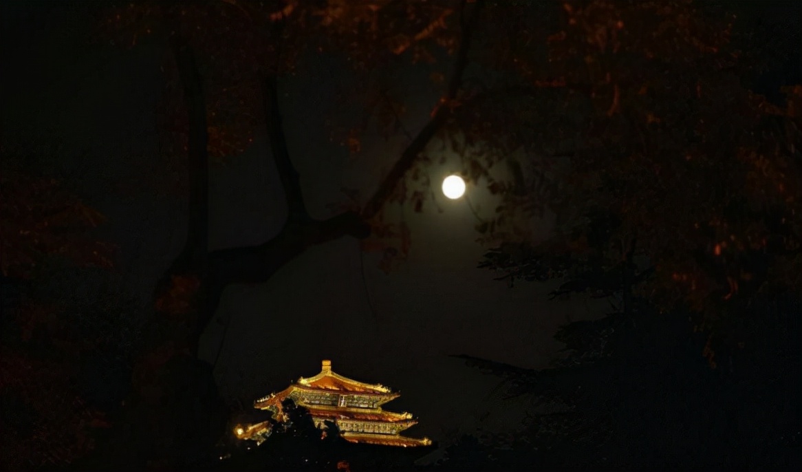 描写春景的诗句（关于描写春景的诗）