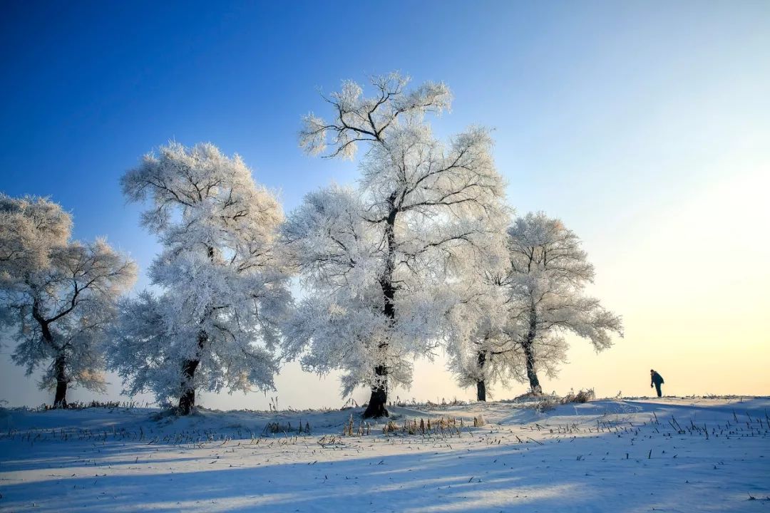 关于描写雪的句子有哪些（赞美雪景的诗句赏析）
