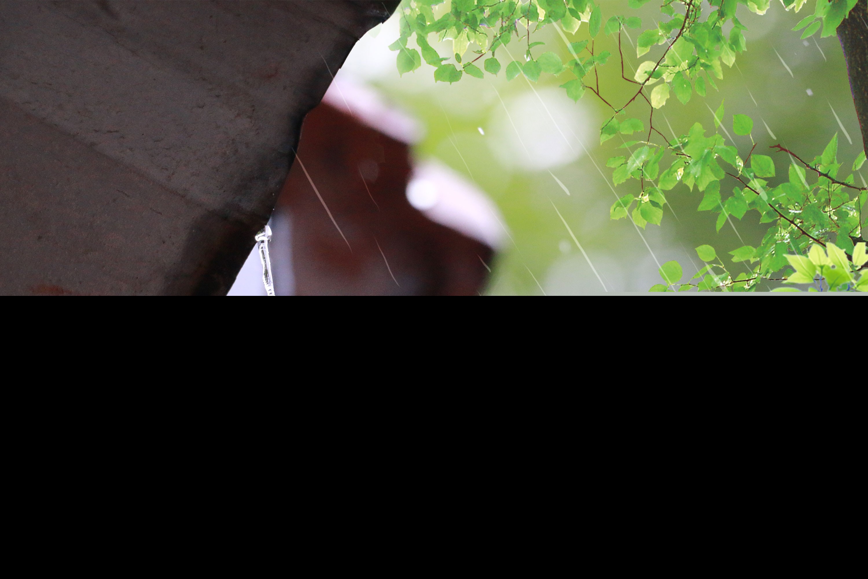关于写雨的散文诗（描写雨的唯美散文）