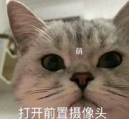 关于可爱的句子说说（可爱的小短句）