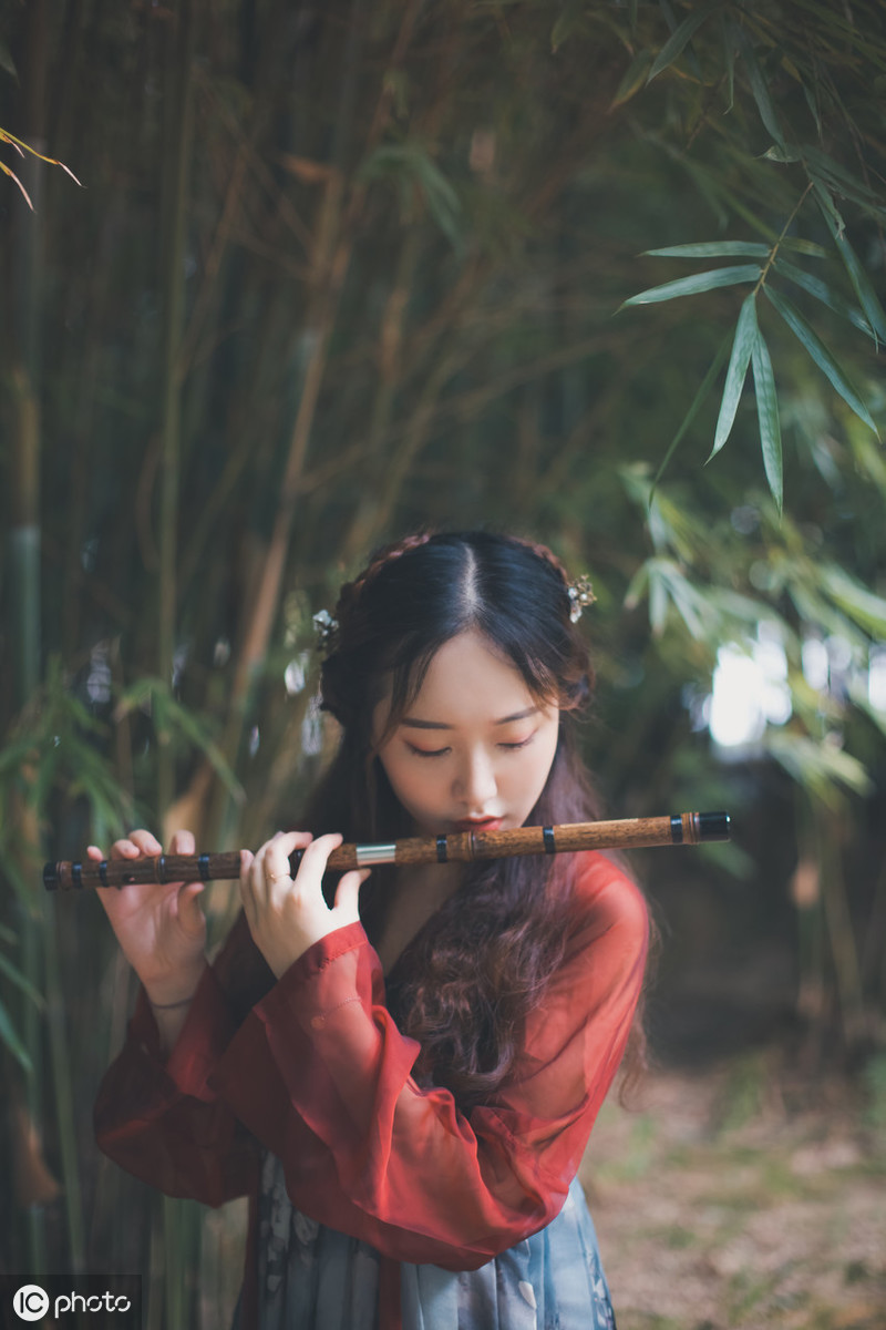 描写竹林的唯美句子（有关竹子的14首经典名诗）