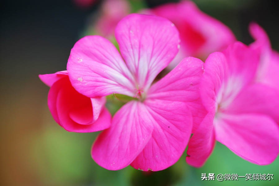抖音励志阳光简短英语句子（适合抄写的英语美文）