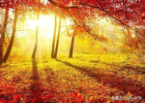 我的座右铭名人名言有哪些（最值收藏的名言名句）