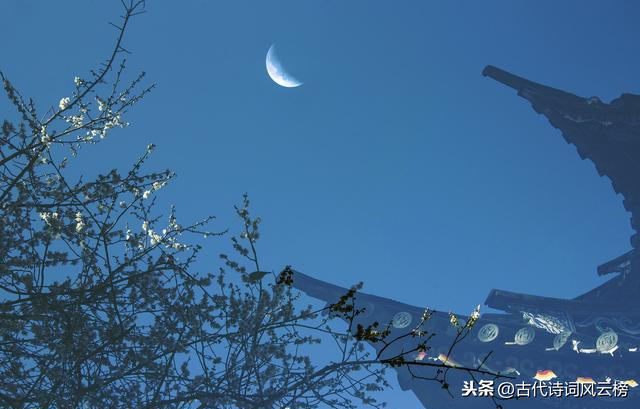 表达游子思念家乡的优美短句（适合发朋友圈想家的句子）