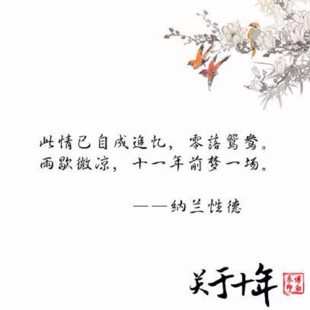 相伴十年唯美句子（十年风雨夫妻语录经典）