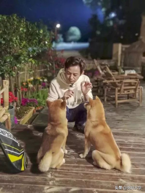 对一个人赞美的话语（情商高的聊天语句）