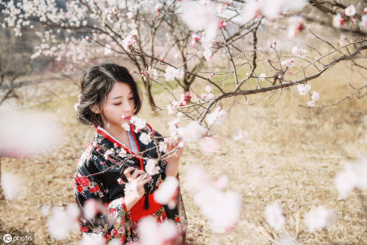 描写樱花的优美句子（赞美樱花美景的古诗词）