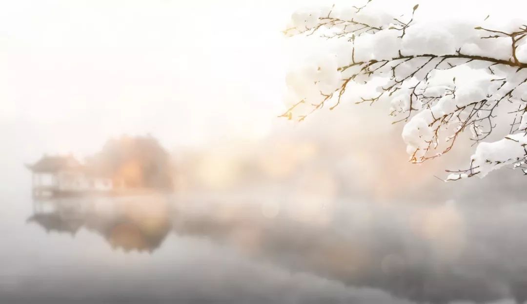 关于描写雪的句子有哪些（赞美雪景的诗句赏析）