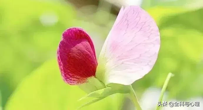 唯美的句子致自己简短（三观超正的温柔句子）
