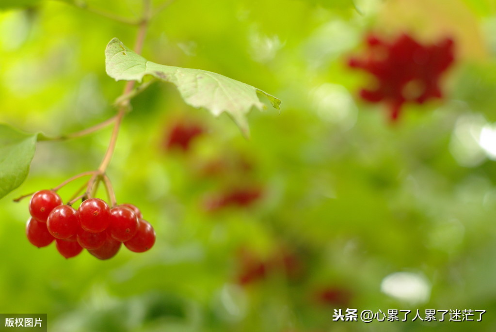 吸取教训的名言警句（深刻反思吸取教训的诗句）
