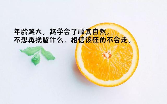 说到心坎的句子说说（经典人生短句分享）