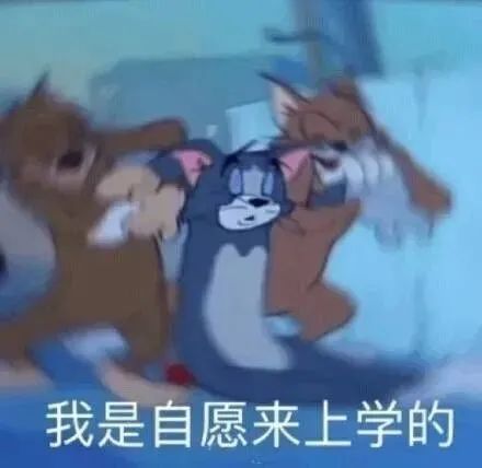 短暂假期结束的优美句子(适合假期结束的发圈说说）