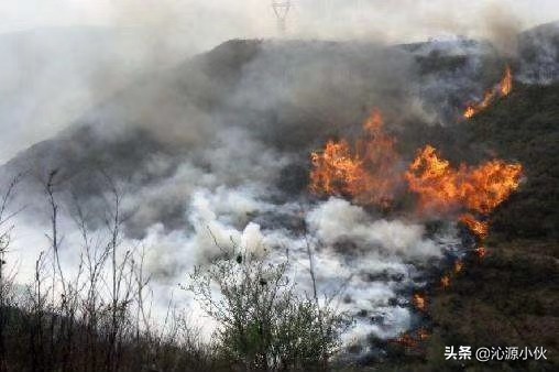 赞美消防员的句子简短（一句话赞美消防员）