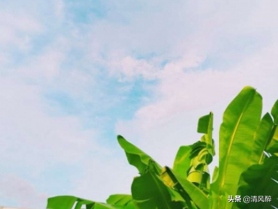 形容胖子的搞笑句子（夸胖人的俏皮话）
