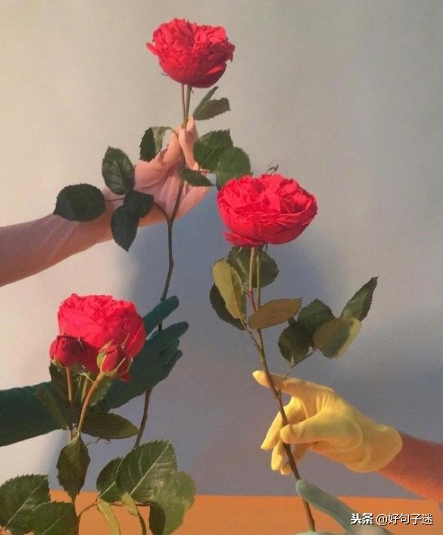 爱情表白最感动的句子（感动女孩子到哭的情话）