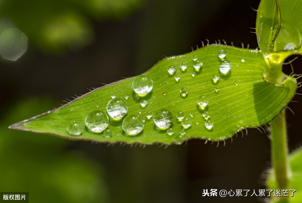 年轻真好的经典句子（经典名句语句赏析）