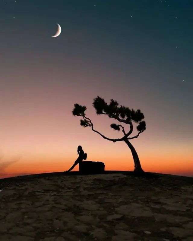 深夜寂寞说说心情（字字伤情的深夜句子）