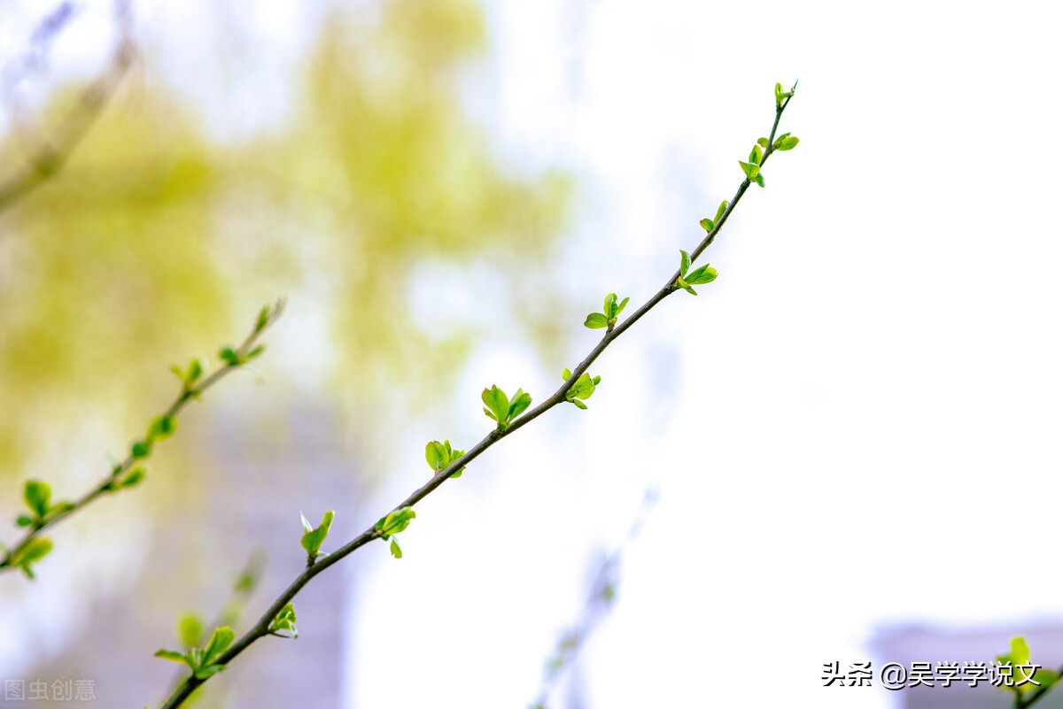 赞美春天诗句（描写春天的优美短句）