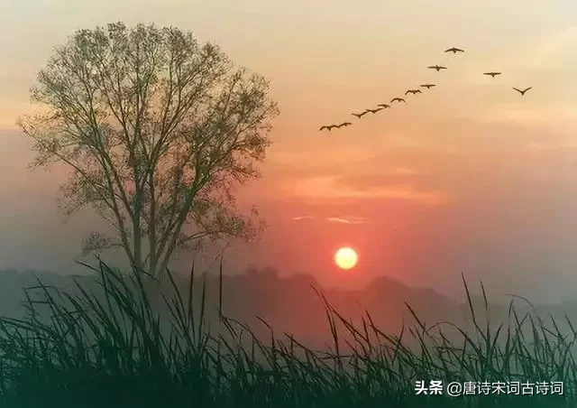 描写夕阳的诗句有哪些（关于夕阳的诗句大全）
