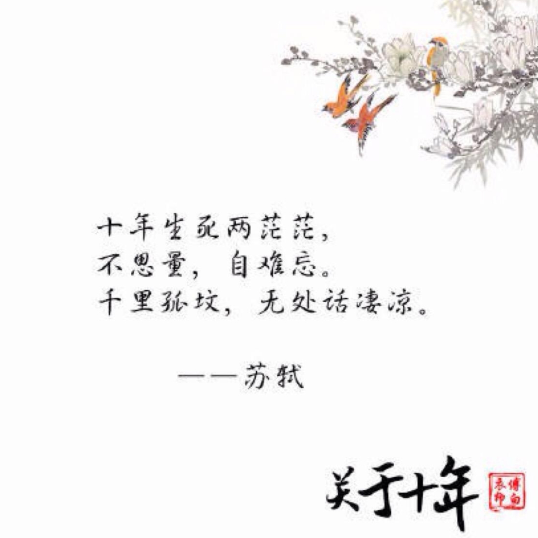 相伴十年唯美句子（十年风雨夫妻语录经典）