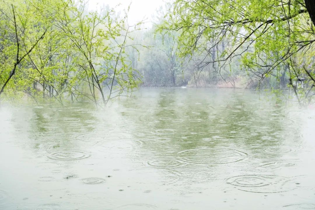 关于春雨的诗句有哪些（描写春雨的诗句）
