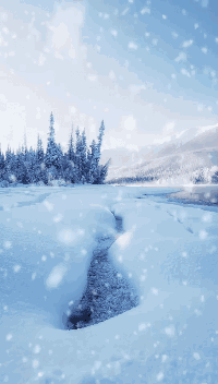 关于雪的诗词有哪些（赞美雪景的十首古诗词赏析）