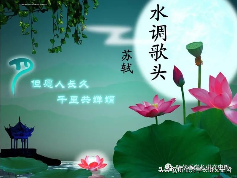 水调歌头诗词鉴赏（水调歌头鉴赏分析）