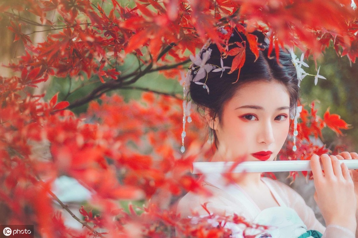 好听的句子唯美短句（经典美句摘抄短句）