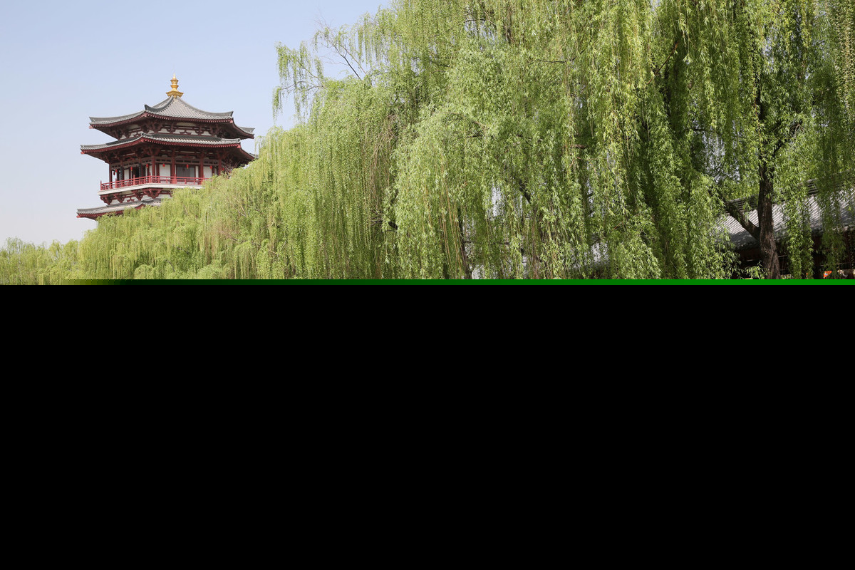 杨花落尽子规啼全诗（闻王昌龄左迁龙标遥有此寄诗文赏析）