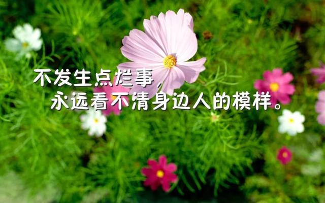 说到心坎的句子说说（经典人生短句分享）