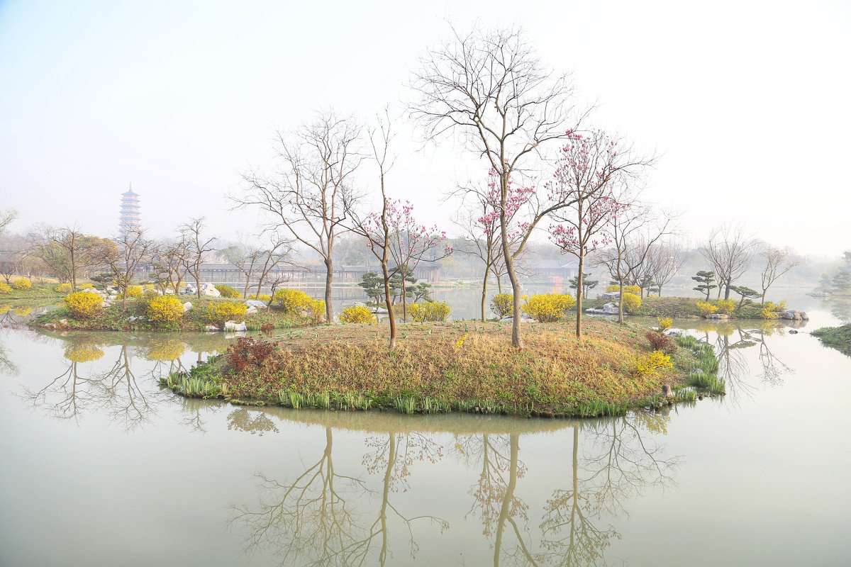 关于植物的现代诗（关于植物的现代诗短诗）
