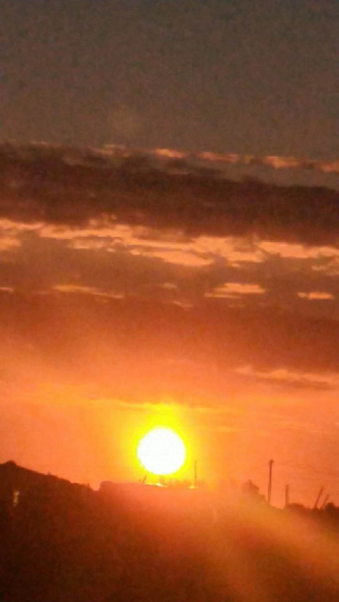 夏天的诗歌现代诗（关于描写夏天的现代诗）