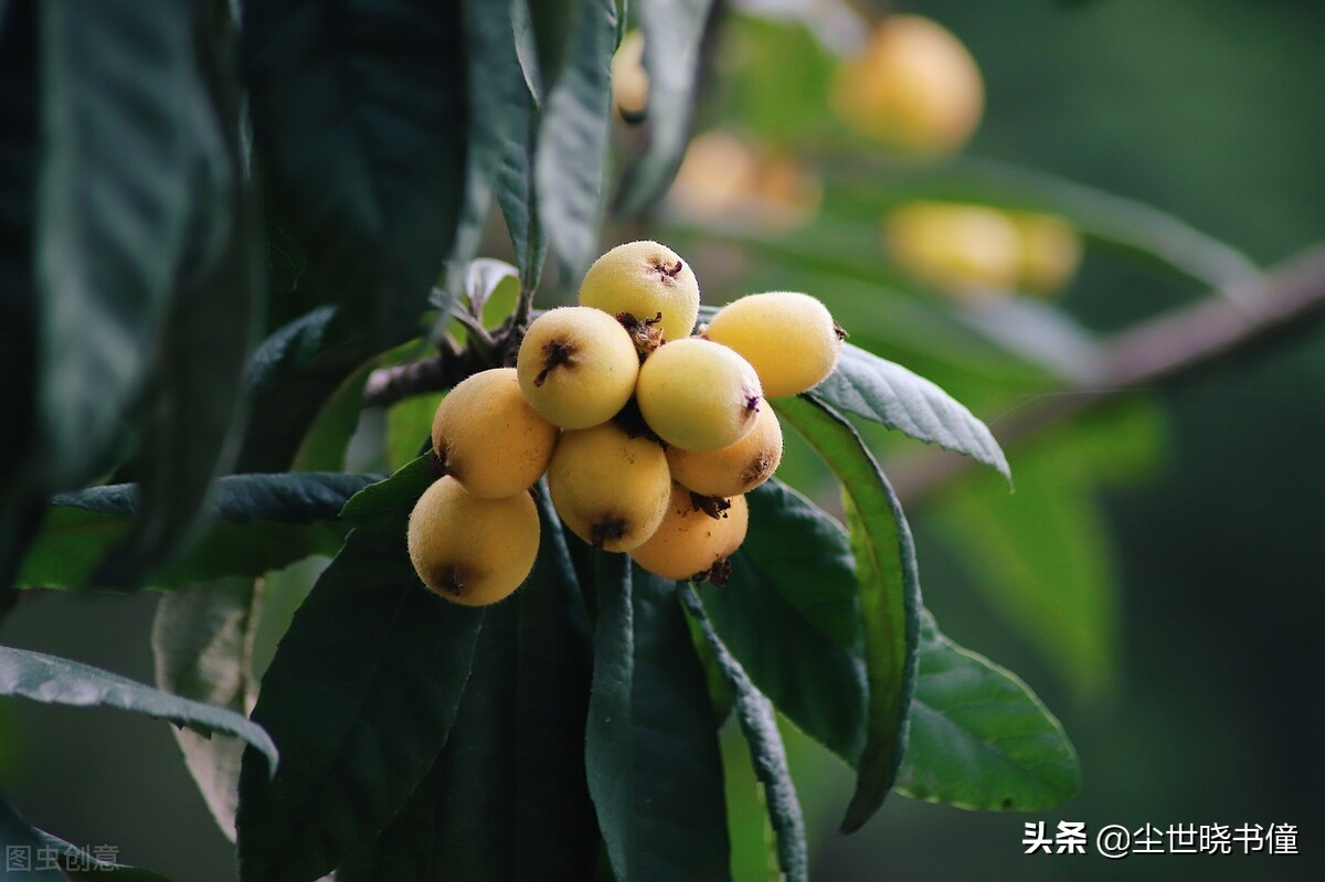 大自然空气清新的句子（感受大自然的新鲜空气）