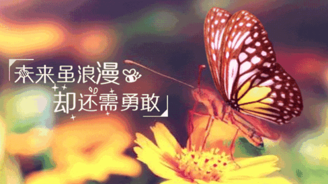 适合发朋友圈伤感句子（微信伤心的句子说说心情）