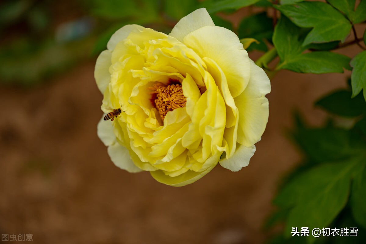 描写谷雨的古诗有哪些（有关谷雨的7首古诗词）