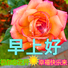 祝福别人幸福的话有哪些（真诚祝福别人幸福的说说）