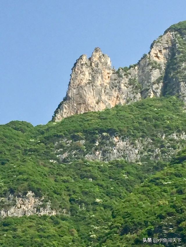 三峡的诗句有哪些（关于三峡的古诗名句）